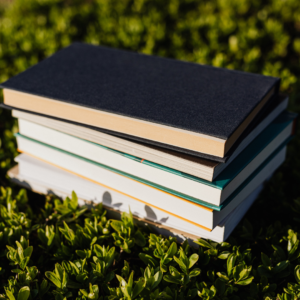 ASSA Introduces Essays Competitions!